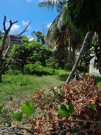 Land for Sale in Kurana Samagi Mawatha Negombo