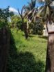 Land for Sale in Kurana Samagi Mawatha Negombo