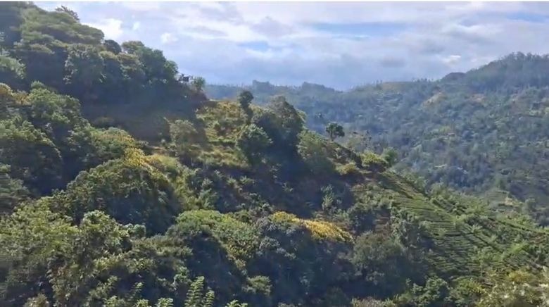100 Perches of Land for Sale – Ella