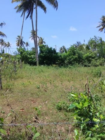 Land for Sale in Kamburugamuwa