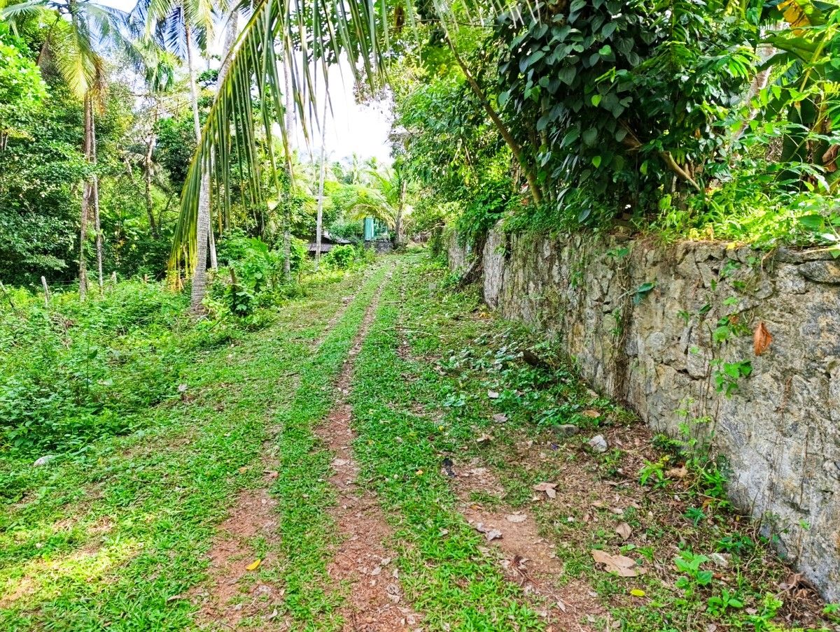 Land for Sale in Weboda Kadawatha