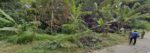 39 Perch Main Road Land In Jambugahapitiya Akurana