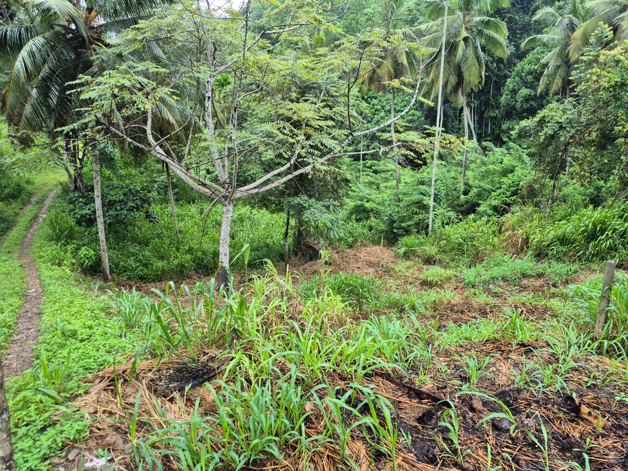25 Perch Commercial Land Kottapola In Galigamuwa