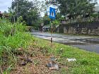 25 Perch Commercial Land Kottapola In Galigamuwa