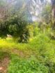 House with Land for Sale in AKuressa