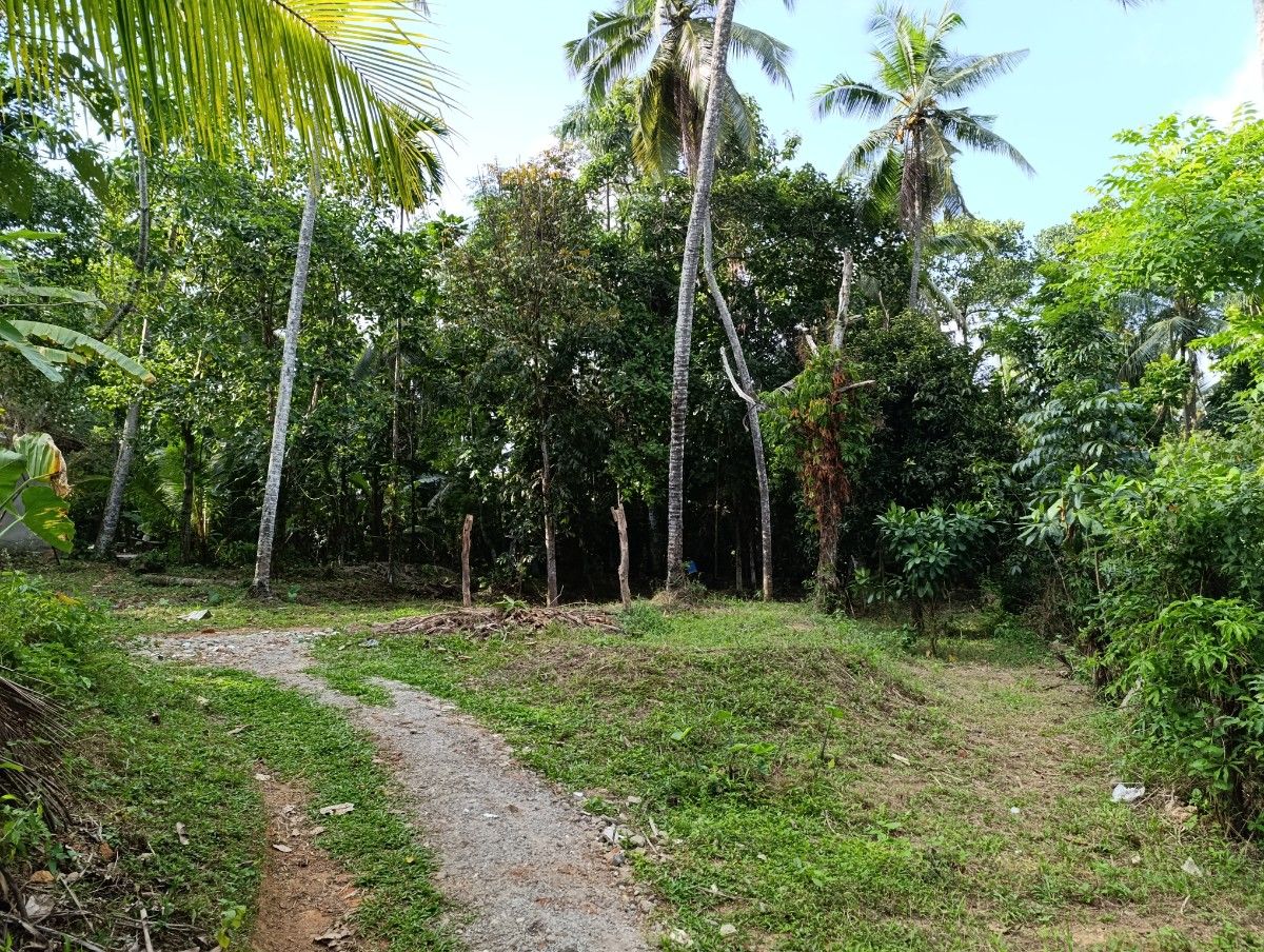 Land for Sale in Weboda Kadawatha