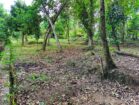 Land for Sale in Weboda Kadawatha