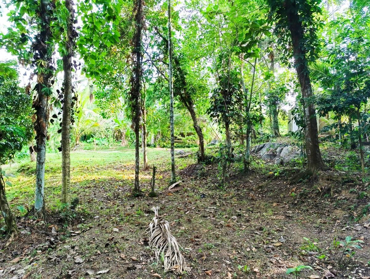 Land for Sale in Weboda Kadawatha