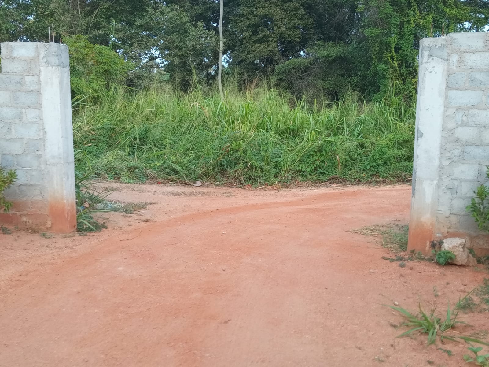 Land with House for Sale – Wariyapola