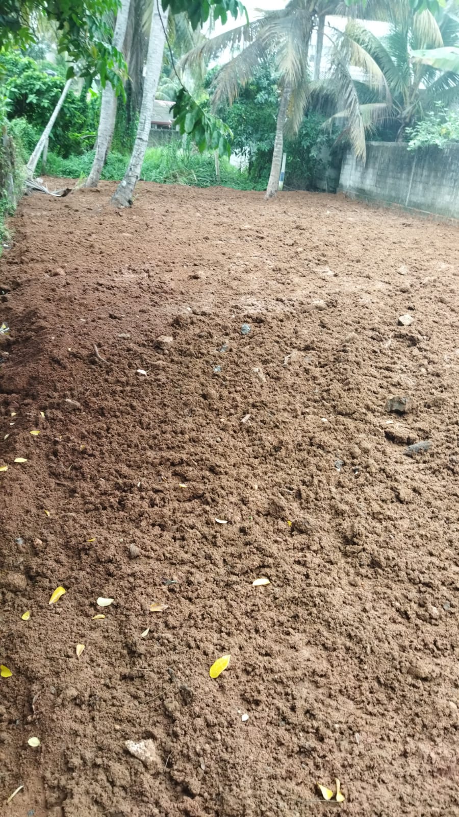 පදිංචියට අගනා බිම් කොටසක් බොපිටියෙන්