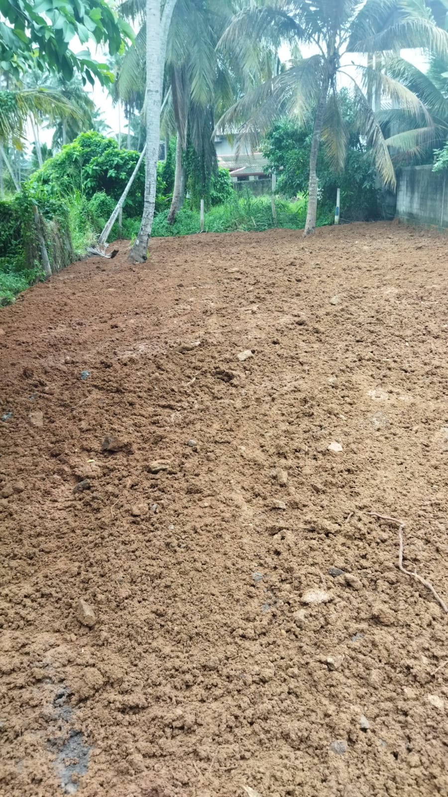 පදිංචියට අගනා බිම් කොටසක් බොපිටියෙන්