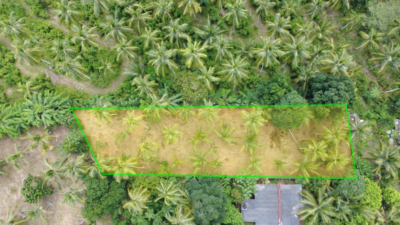 Minuwangoda 56 Perches Land for Sale