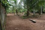 Minuwangoda 56 Perches Land for Sale