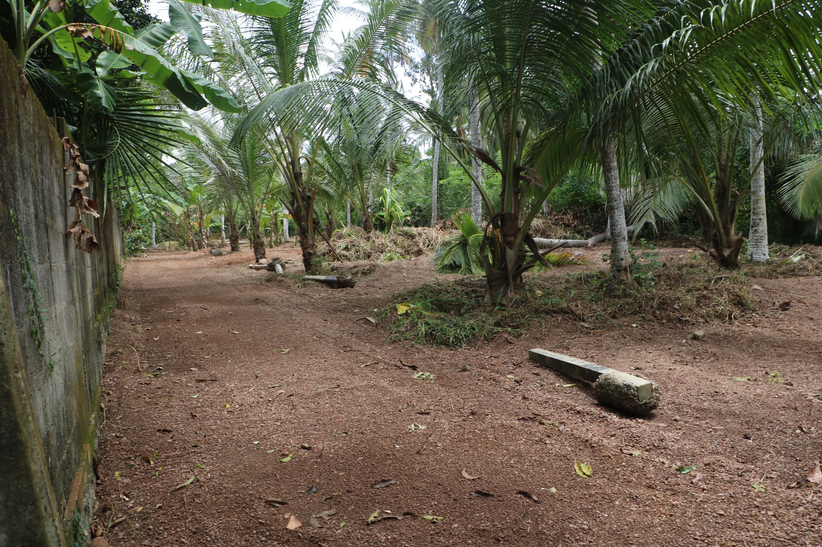 Minuwangoda 56 Perches Land for Sale