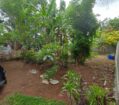 Land for Sale in Kiribathgoda | 14.37 Perches| 12.5Laks Per Perch