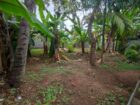 Land for Sale in Kiribathgoda | 14.37 Perches| 12.5Laks Per Perch