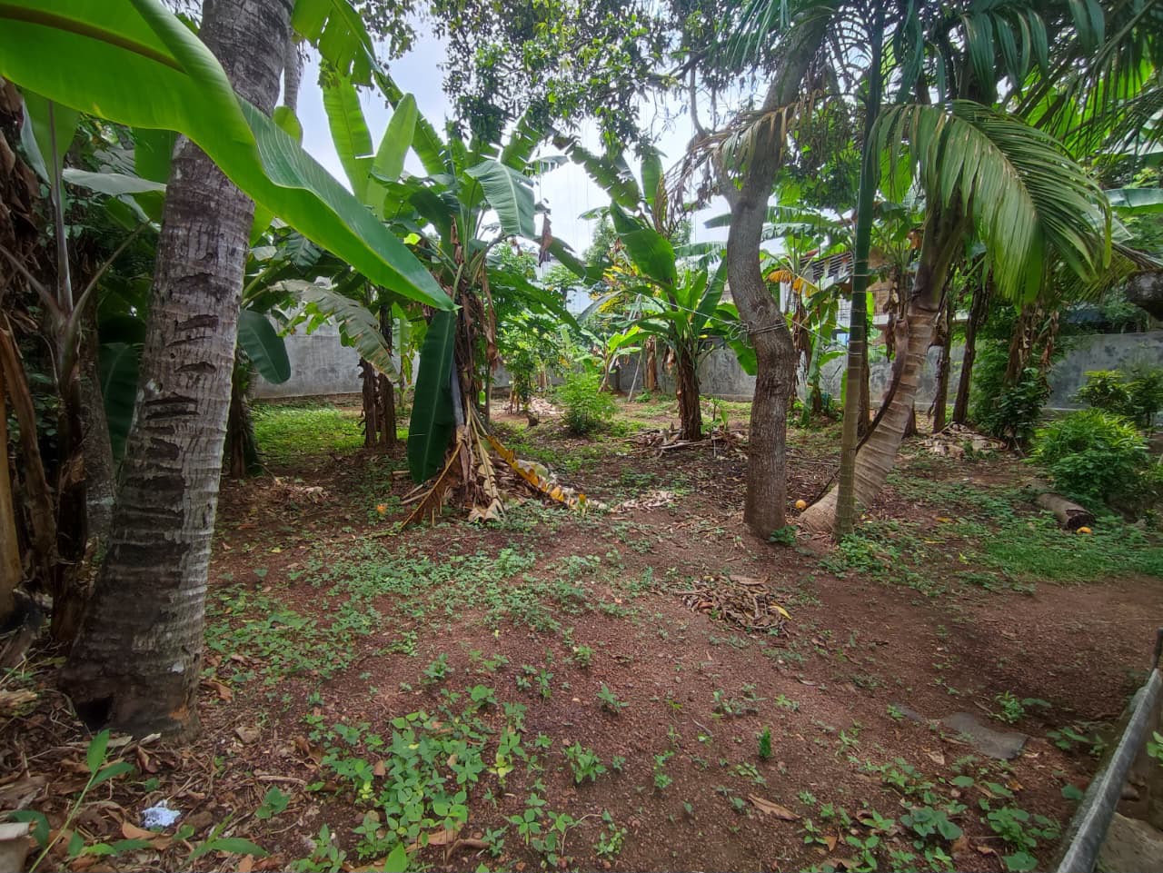 Land for Sale in Kiribathgoda | 14.37 Perches| 12.5Laks Per Perch