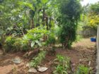 Land for Sale in Kiribathgoda | 14.37 Perches| 12.5Laks Per Perch