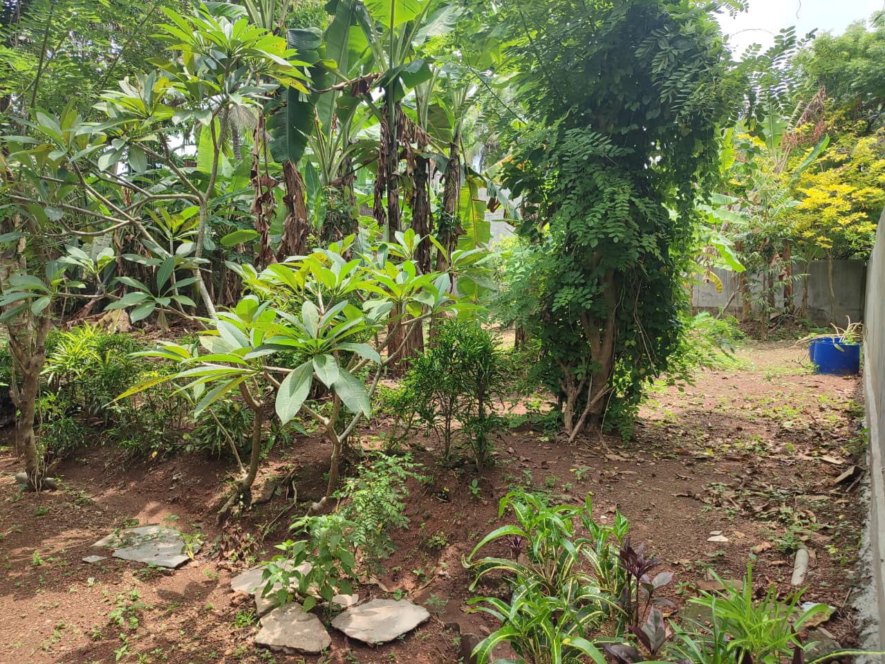Land for Sale in Kiribathgoda | 14.37 Perches| 12.5Laks Per Perch