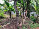 Land for Sale in Kiribathgoda | 14.37 Perches| 12.5Laks Per Perch