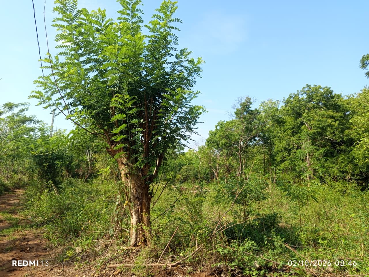 Land for Sale – Thanamalwila
