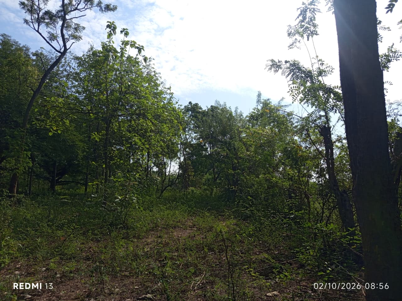 Land for Sale – Thanamalwila