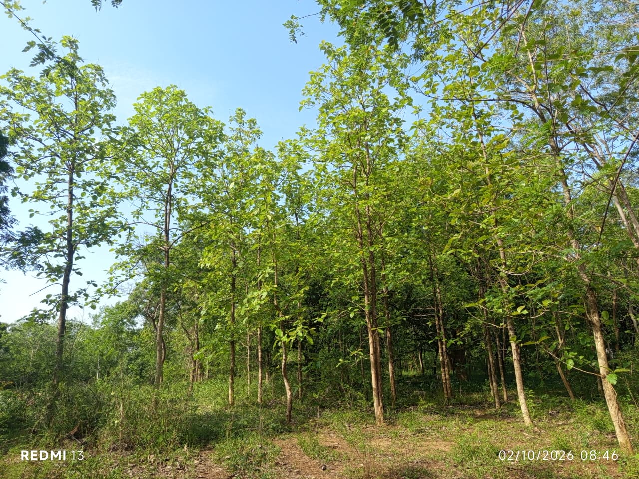 Land for Sale – Thanamalwila