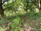 Land for Sale – Thanamalwila