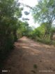 Land for Sale – Thanamalwila