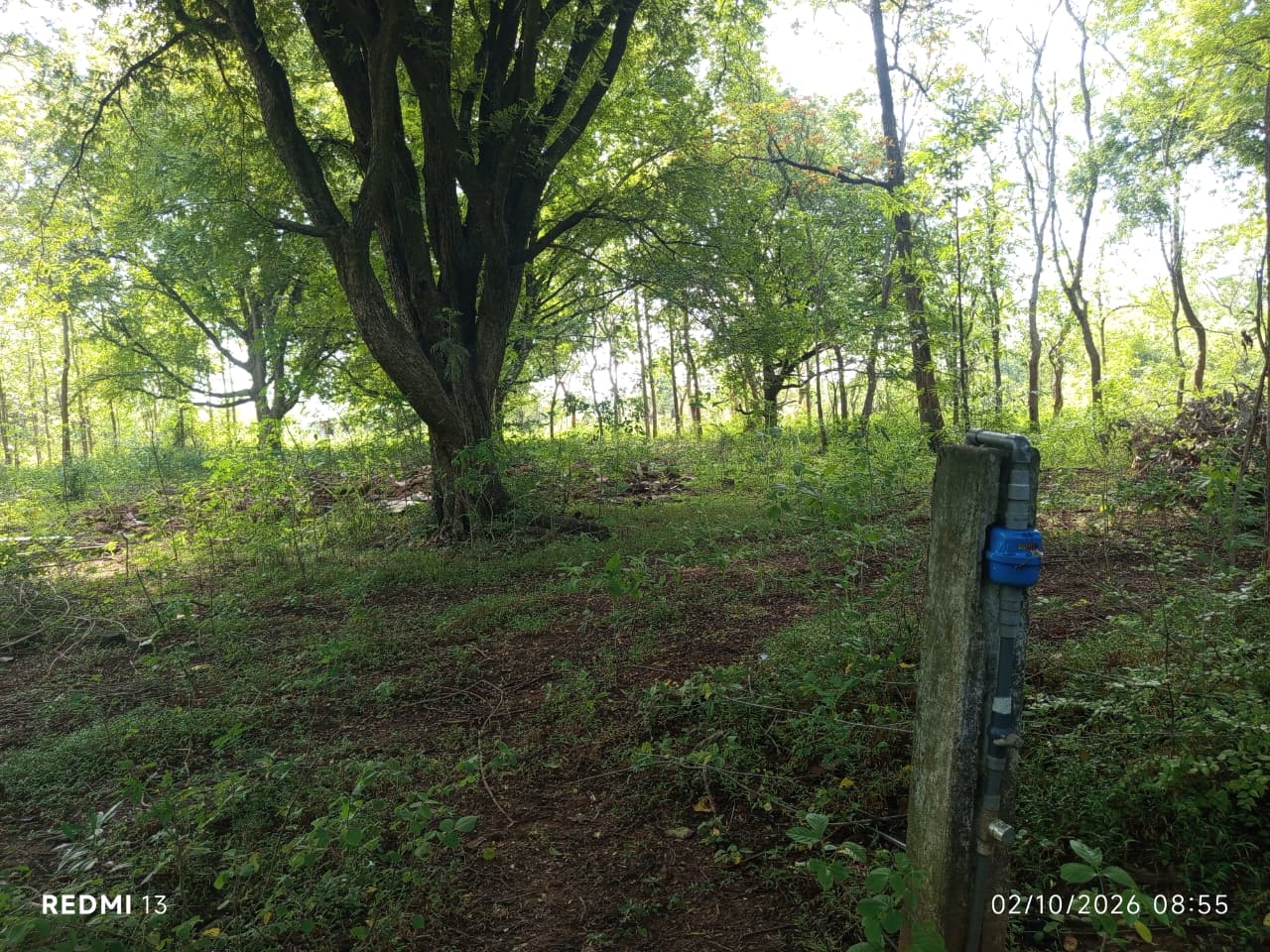 Land for Sale – Thanamalwila