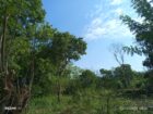 Land for Sale – Thanamalwila