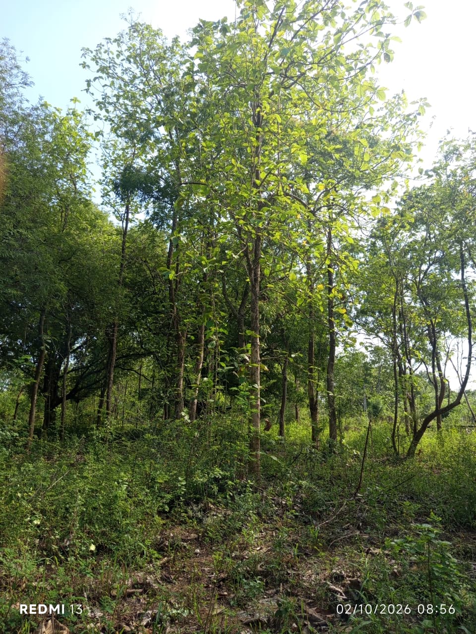Land for Sale – Thanamalwila