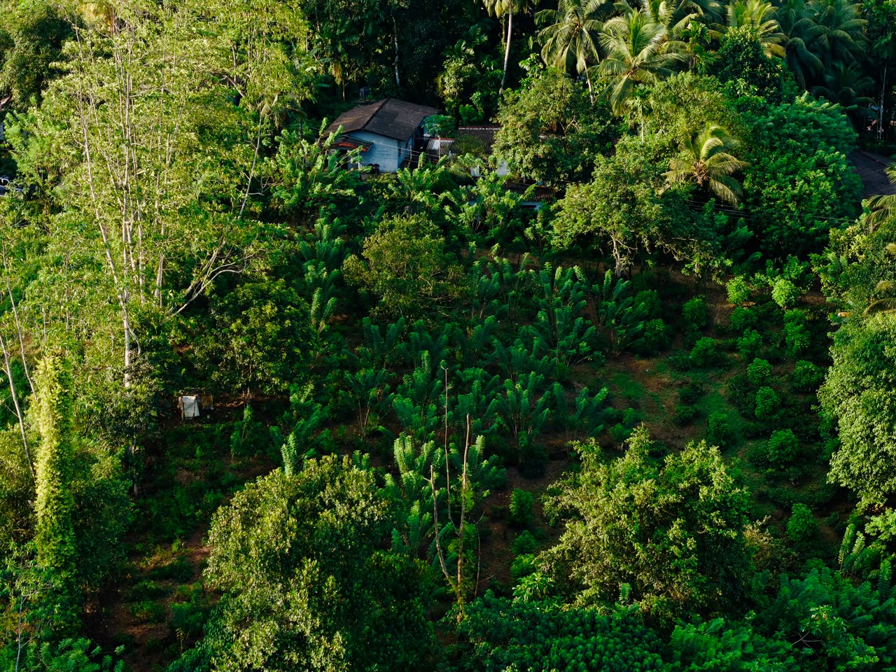 Land For Sale Kosgoda