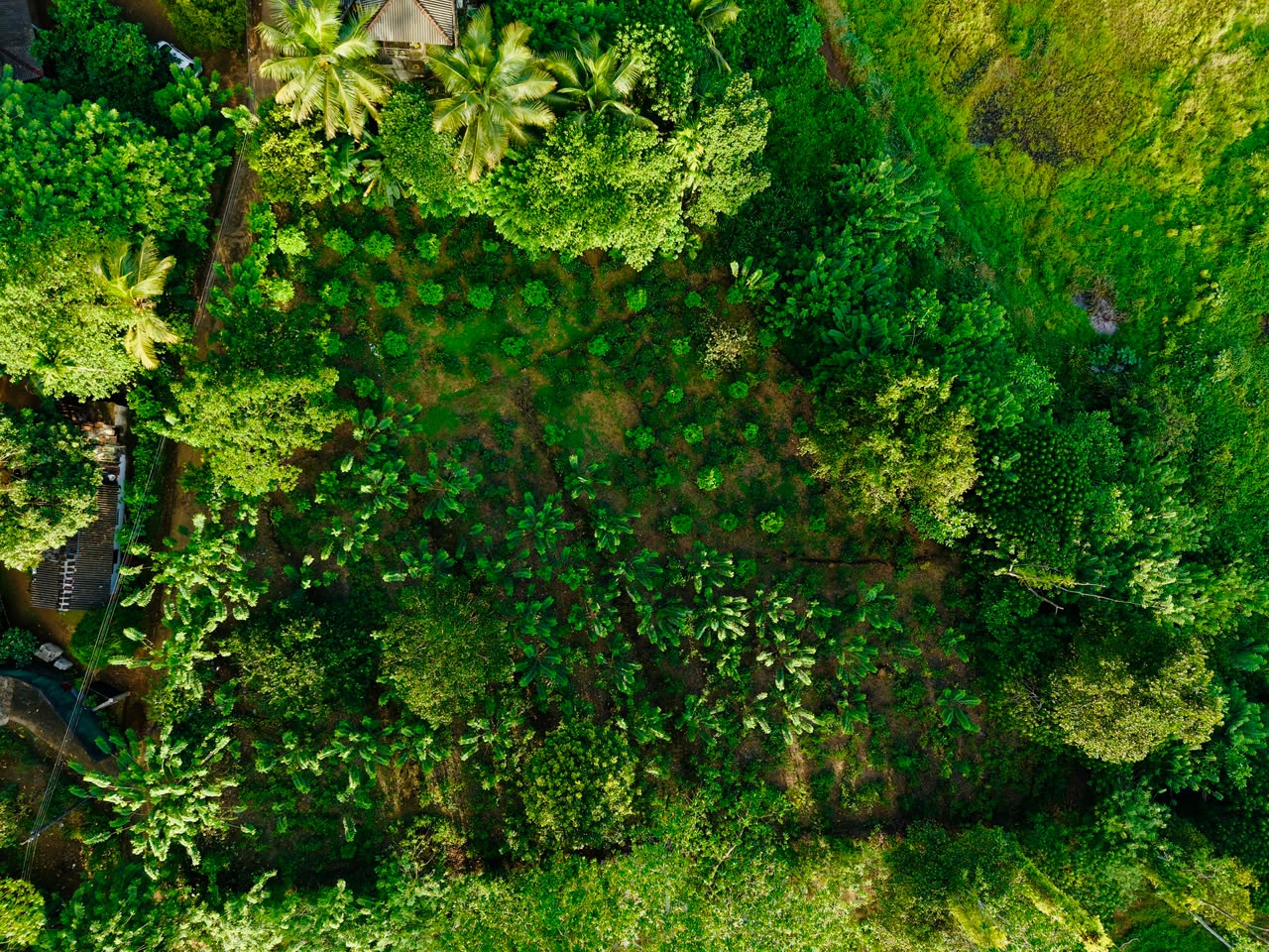 Land For Sale Kosgoda