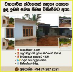 WhatsApp-Image-2026-10-05-at-11.17.07-1