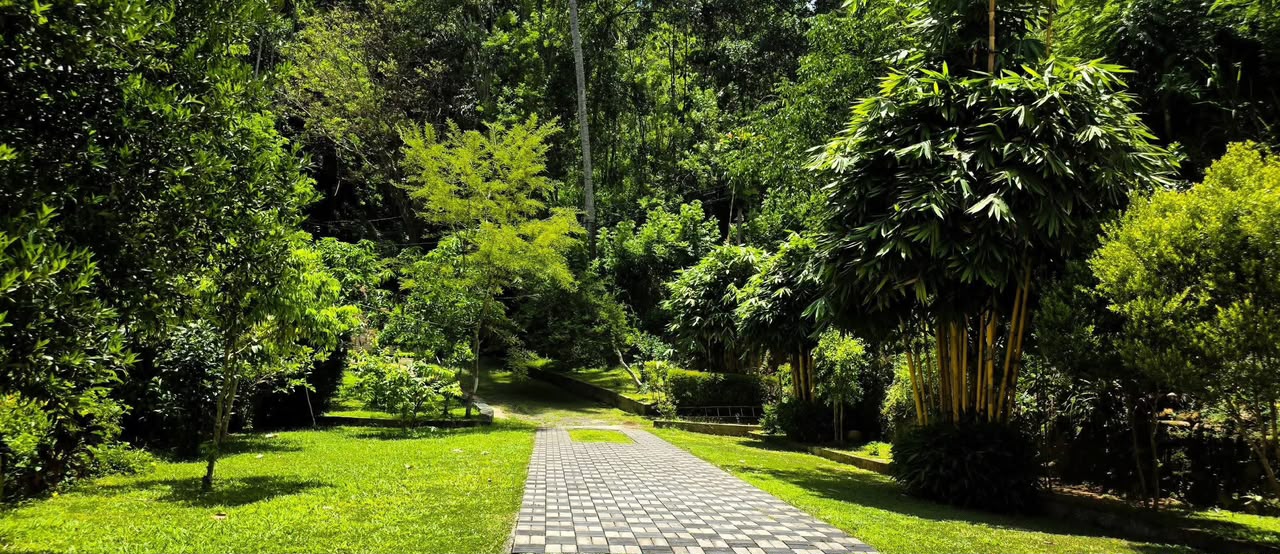 Land With House For Sale In Badulla