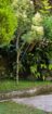 Land With House For Sale In Badulla
