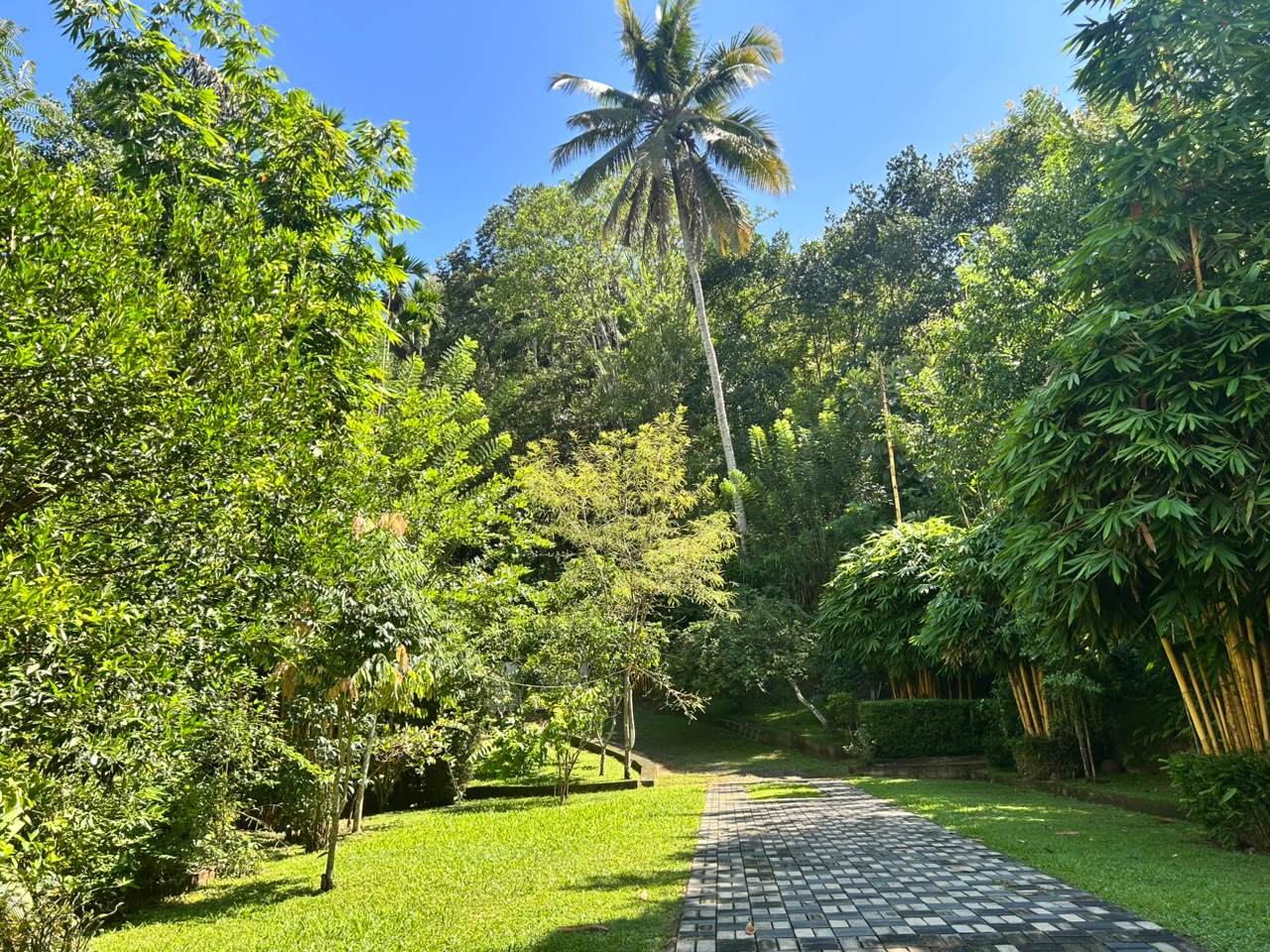 Land With House For Sale In Badulla