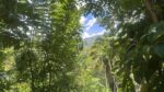 Land With House For Sale In Badulla