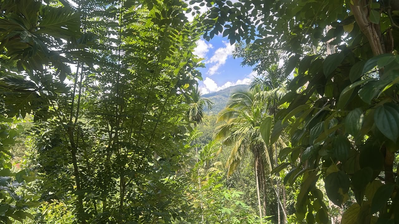 Land With House For Sale In Badulla