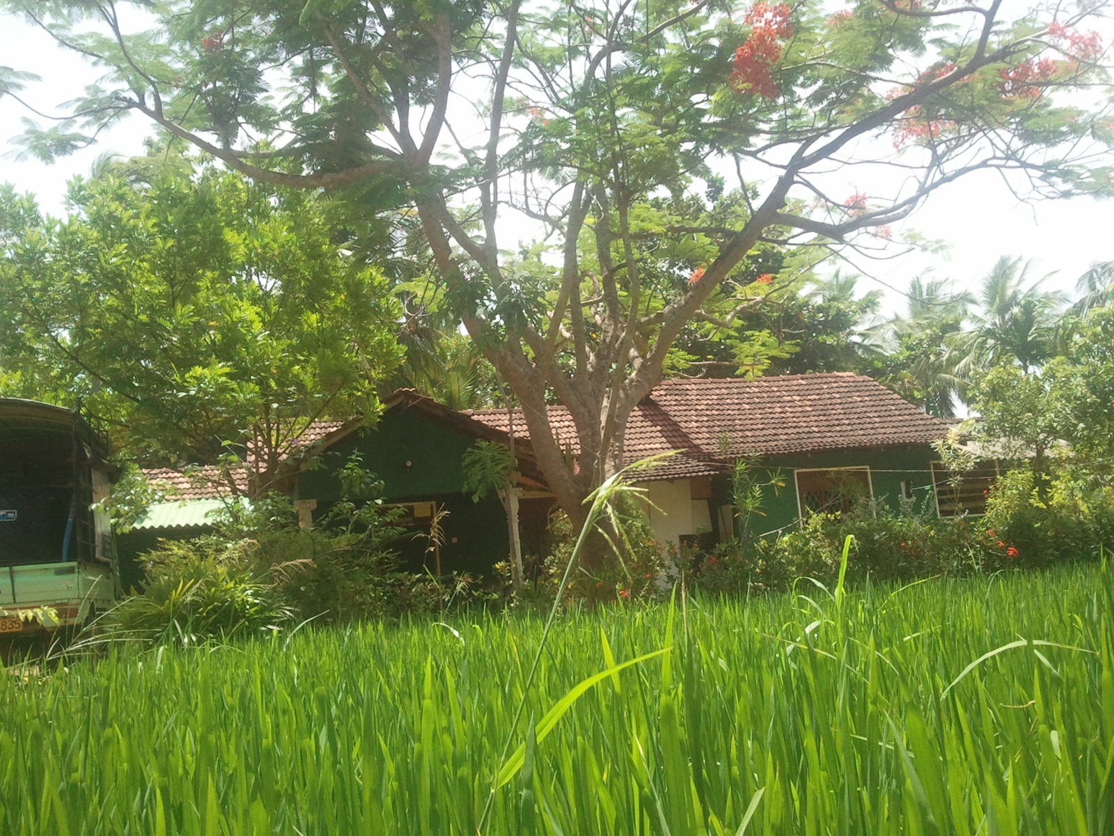 Land with House for Sale Higurakgoda