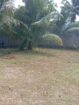 Land For Sale Ragama