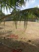 Land For Sale Ragama