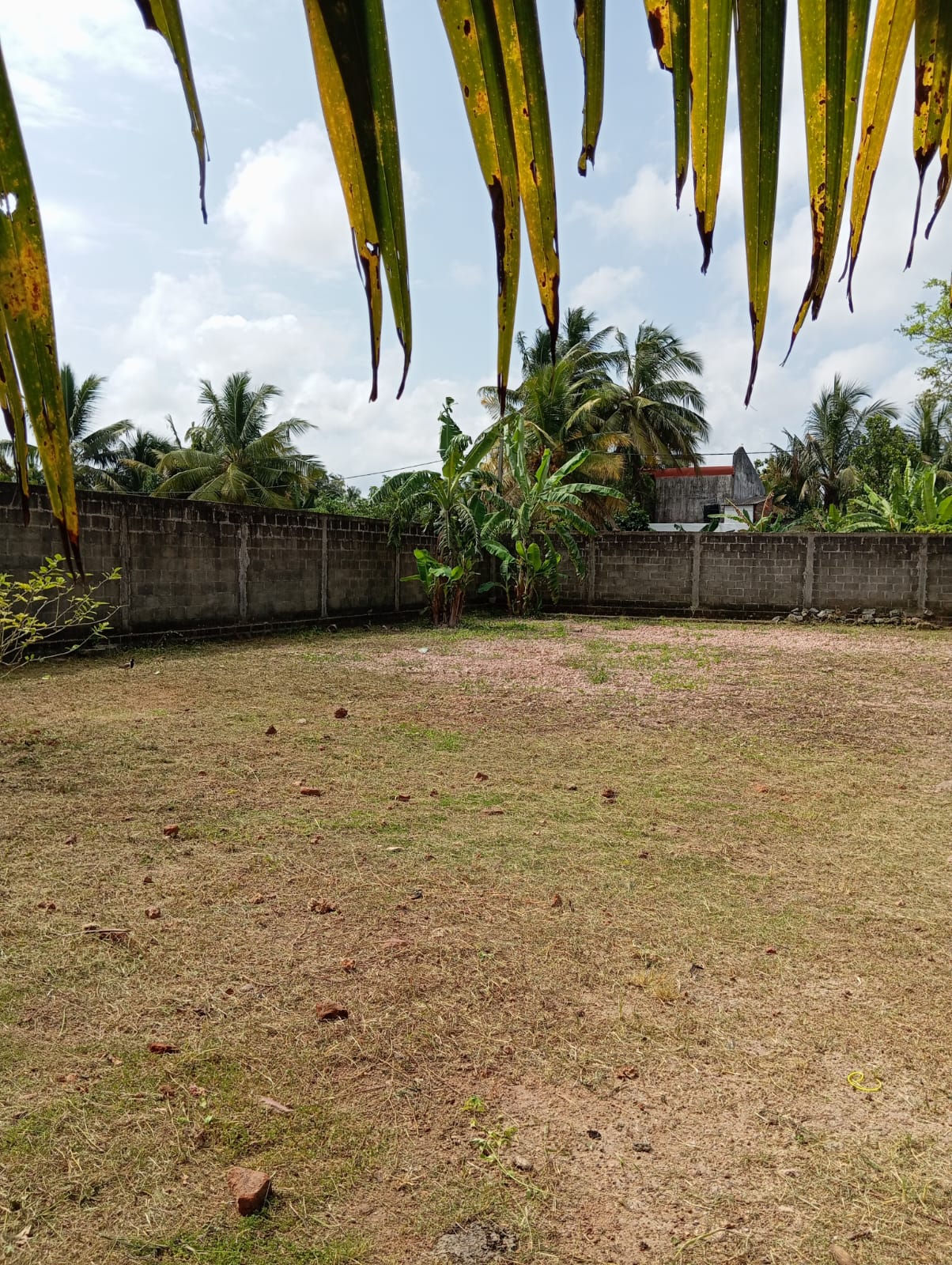 Land For Sale Ragama