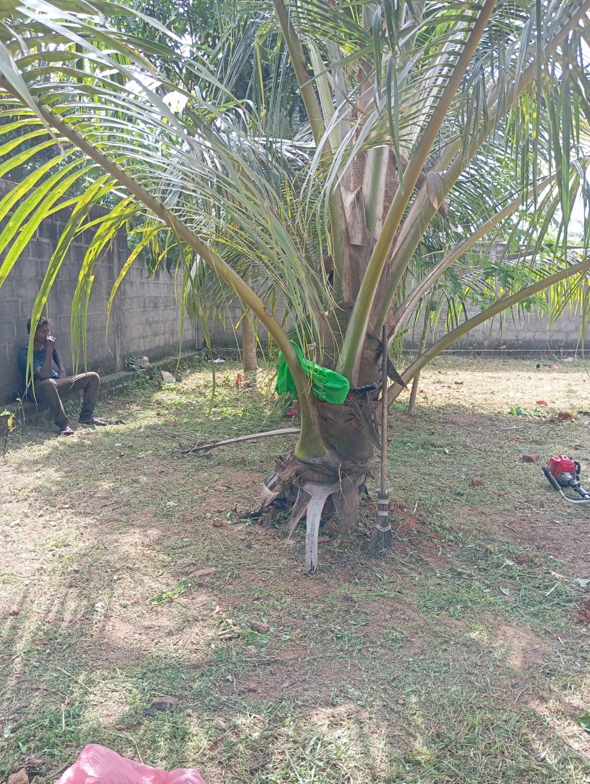 Land For Sale Ragama