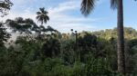 House with Land for Sale in Kegalle
