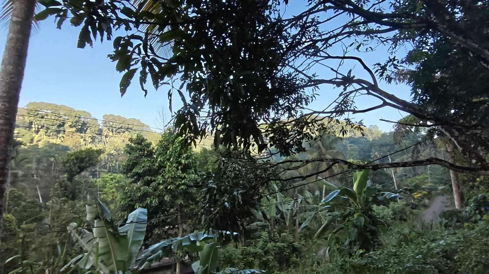 House with Land for Sale in Kegalle