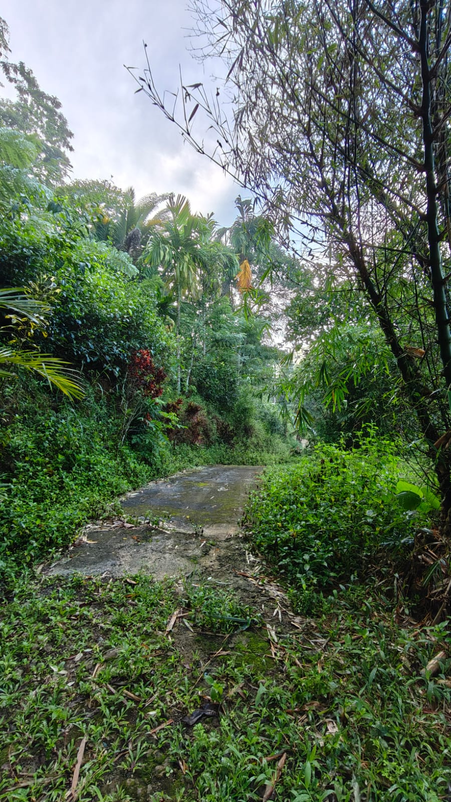 House with Land for Sale in Kegalle