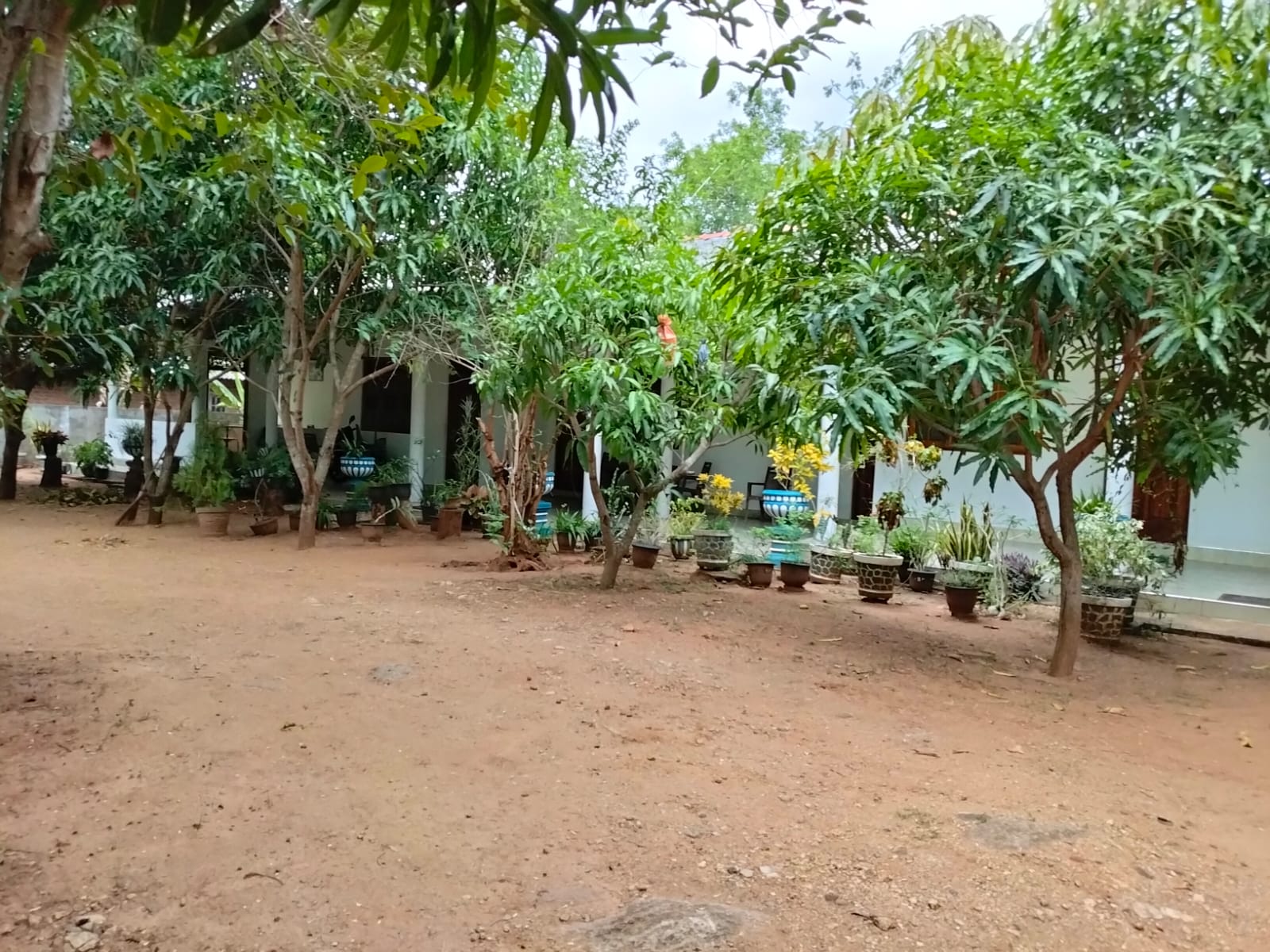 නිවාඩු නිකේතනයක් විකිනීමට