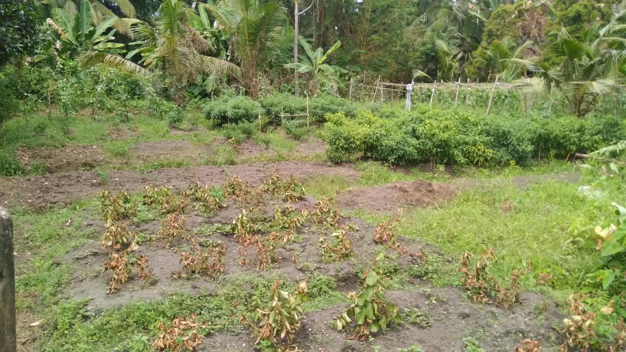 Land for Sale in Wadduwa, Pothupitiya